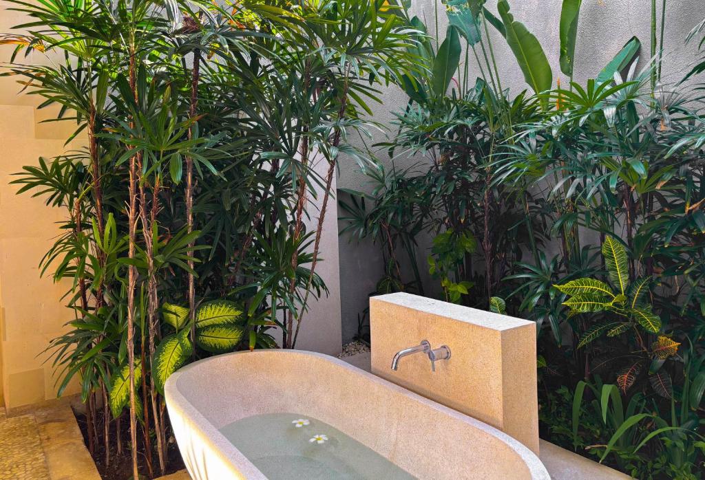 Nyaman Villas Seminyak Nyaman Villas Seminyak