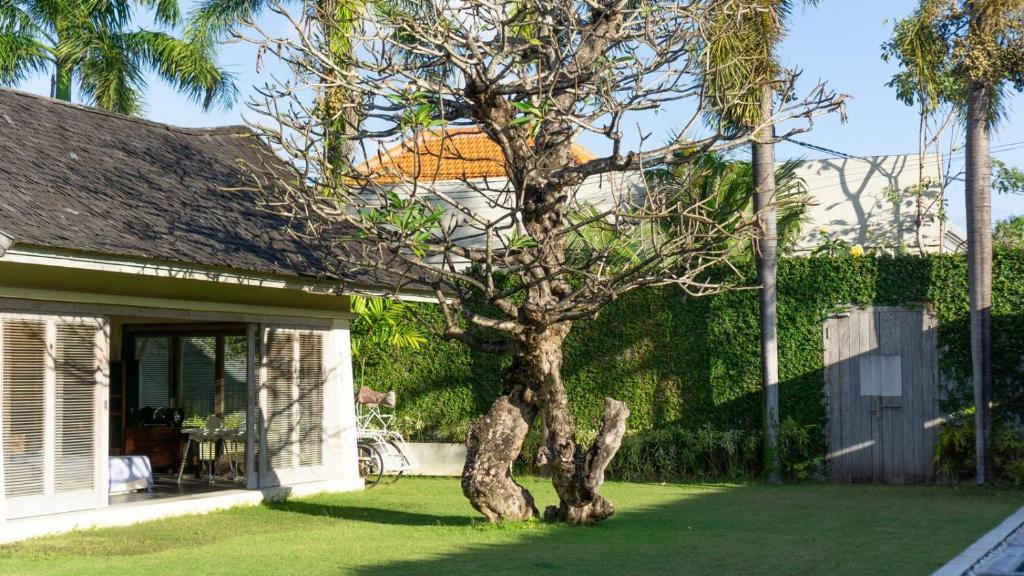 Casa Mateo Villa Casa Mateo Villa